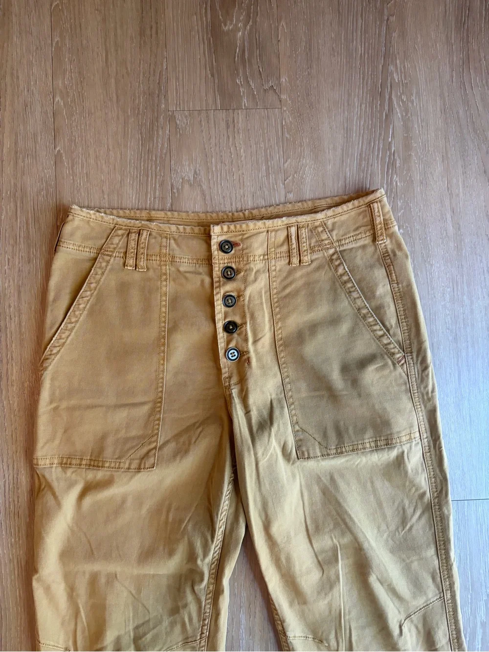Anthropologie The Wanderer Tan Cargo Pants